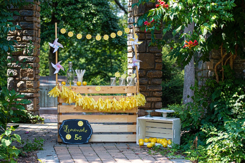 Lemonade Stand Photoshoot Prop Kit With Lemon Banner and Lemon Etsy