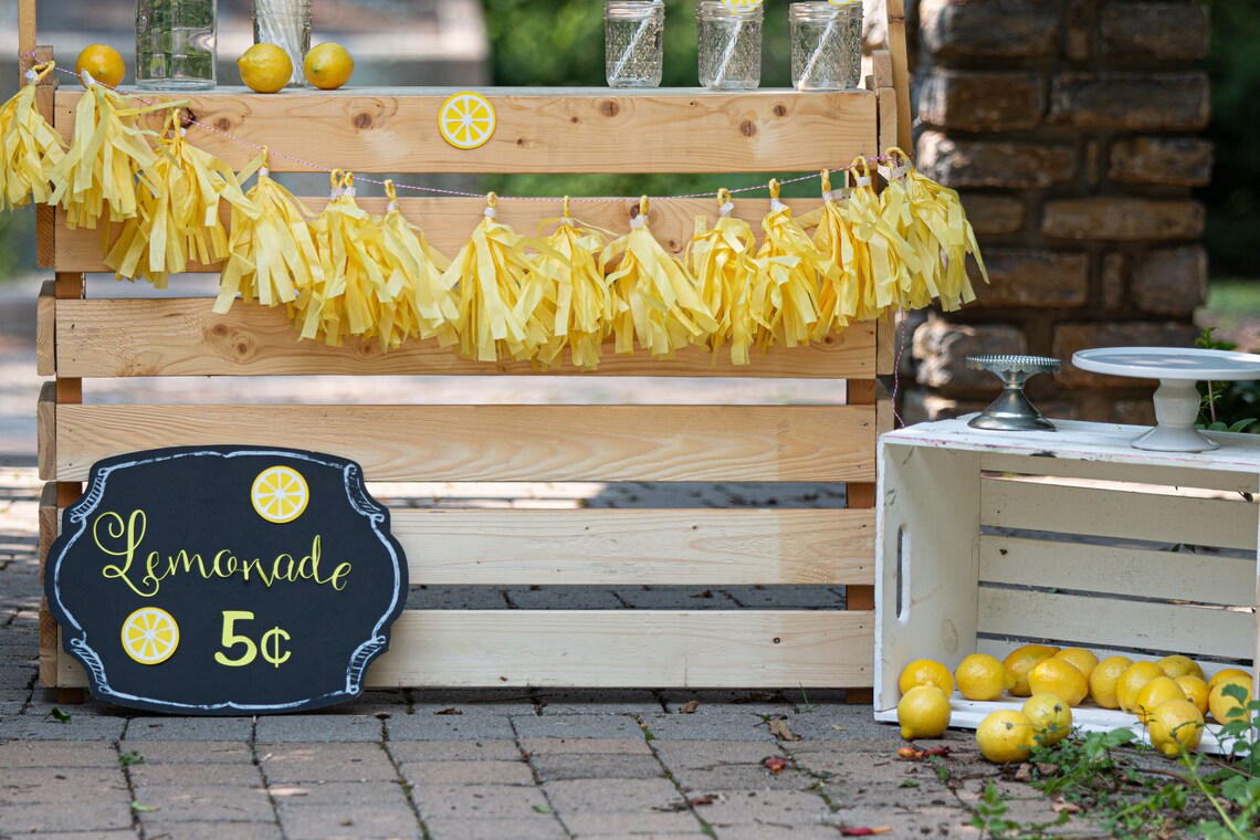 Lemonade Stand Photoshoot Prop Kit With Lemon Banner and Lemon Etsy