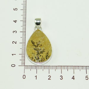 May include: A silver pendant with a teardrop-shaped stone featuring a dendritic agate pattern in shades of brown and white. The pendant is approximately 2 cm in length.