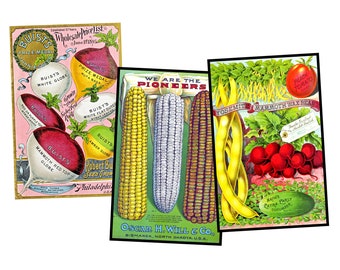 Garden Seed Packet Postcard Illustrations for Making Gardener's Gifts Greeting Cards and Gifts for Her, 1 INSTANT DOWNLOAD Sheet, SET 76