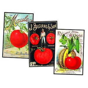 Gartensamen-Paket Postkarten-Illustrationen zur Herstellung von Gärtnergeschenken Grußkarten und Geschenke für Sie, 1 INSTANT DOWNLOAD Blatt, SET-64