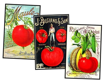 Garden Seed Packet Postcard Illustrations for Making Gardener's Gifts Greeting Cards and Gifts for Her, 1 INSTANT DOWNLOAD Sheet, SET 64