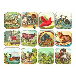 Notitiekaarten, junkjournal-voorraad, 12-delige set dierenstickers uit het Victoriaanse tijdperk en cadeaukaartstickers, 2,5 inch brede labels, DIGITAAL DOWNLOADBLAD 932