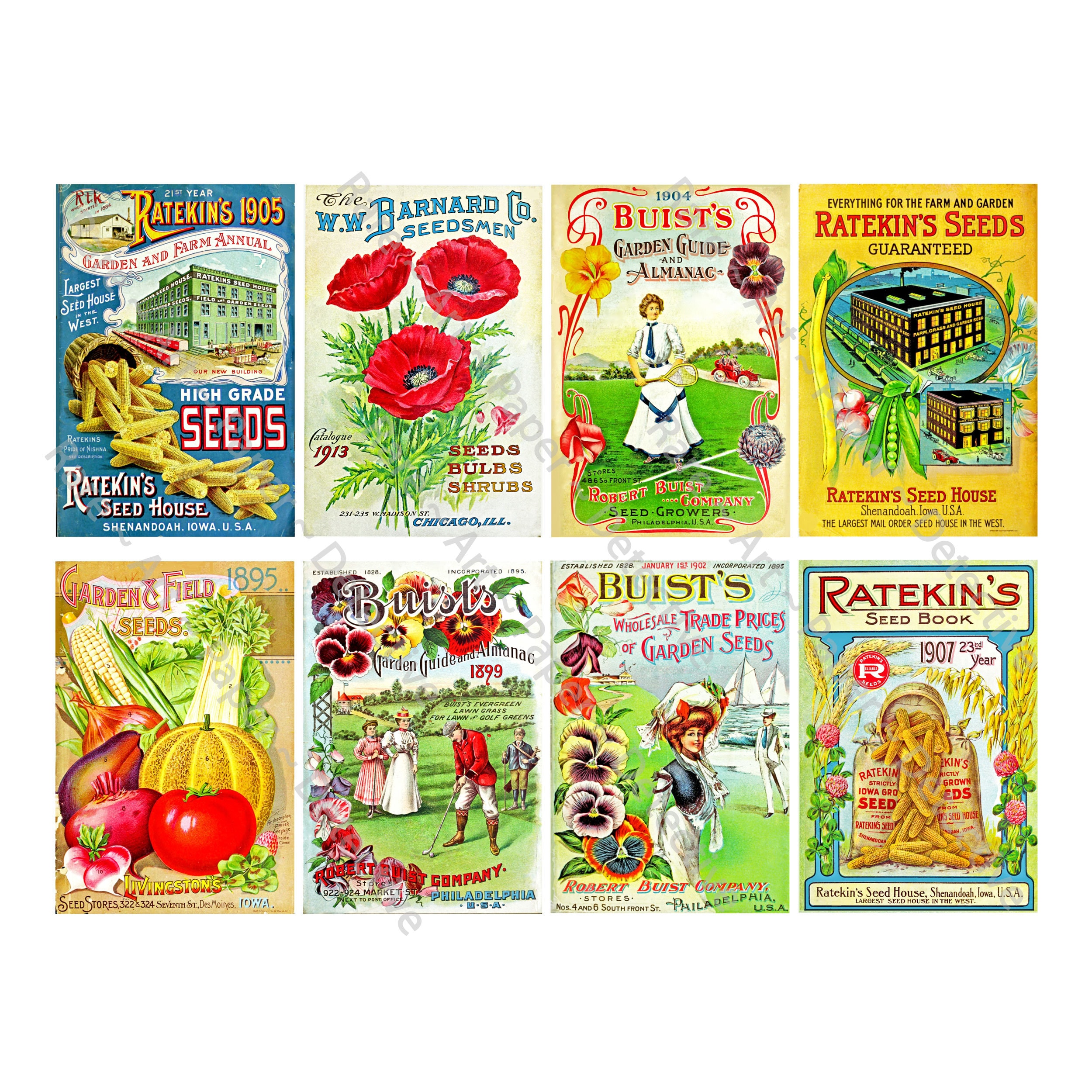 Seed Packet & Antique Seed Catalog Illustrations, 8 Garden Decorations, Farm and Garden Journals, Vintage Label Art, DIGITAL DOWNLOAD, 913
