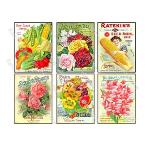 Garden Seed Packet Illustrations for Making Gardener&#39;s Gifts Greeting Cards and Country Kitchen Collages, 1 INSTANT DOWNLOAD Sheet, 1286