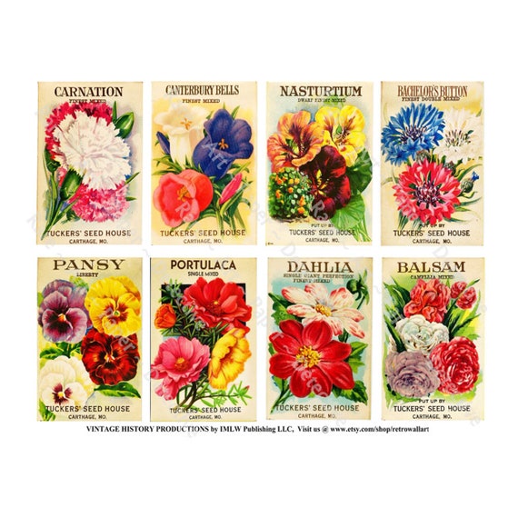 Antique Flower Seed Packets, Vintage Seed Packs, Garden Greenhouse Sign,  Rustic Garden Shed, Botanical Ephemera Paper, 1 Digital Sheet, 306