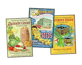 Garden Seed Packet Postcard Illustrations for Making Gardener's Gifts Greeting Cards and Gifts for Her, 1 INSTANT DOWNLOAD Sheet, SET 41