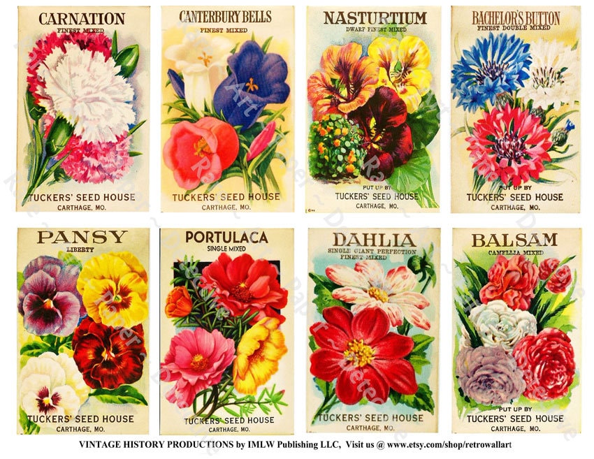Antique Flower Seed Packets Vintage Seed Packs Garden Etsy Israel