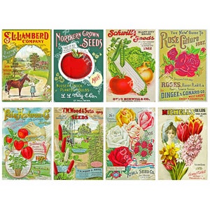 Conjunto de etiquetas de sementes de jardim de 8 peças e capas de catálogo de pacotes de sementes antigas, diários de fazenda e jardim, decoração de arte de etiqueta vintage, conjunto de gráficos digitais 861