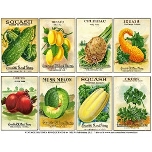 Seed Packet & Antique Seed Catalog Illustrations, 8 Garden Decorations, Farm and Garden Journals, Vintage Label Art, DIGITAL DOWNLOAD, 620