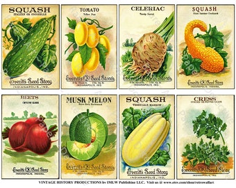 May include: Vintage seed packets featuring illustrations of various vegetables, including squash, tomato, celeriac, beets, musk melon, and cress. Each packet features the name of the vegetable, a brief description, and the name "Everitt's Seed Store" with the location "Indianapolis, Indiana".