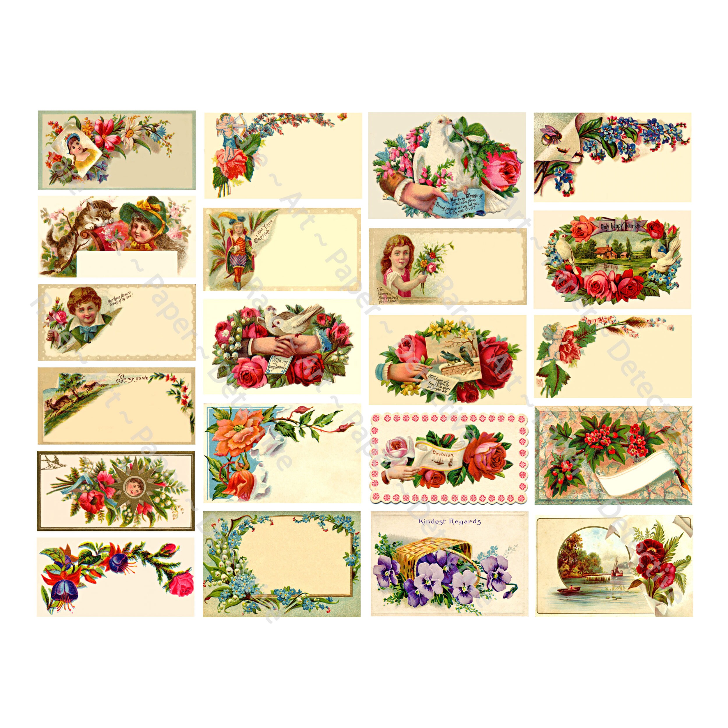 Tarjeta De Felicitación Blanca Con Plantilla De Adorno De Lujo Negro  Joyería India Vector Descarga gratuita de plantilla en Pngtree, image size:2500x2500