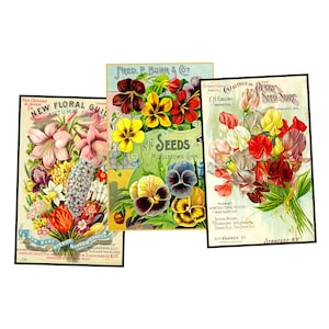 Illustrations de cartes postales de paquets de graines de jardin pour faire des cadeaux de jardinier, des cartes de voeux et des cadeaux pour elle, 1 feuille à TÉLÉCHARGEMENT IMMÉDIAT, lot de 58