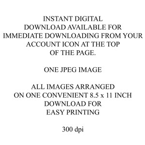 May include: Text describing an instant digital download of a single JPEG image, arranged on an 8.5 x 11 inch page for easy printing at 300 dpi.