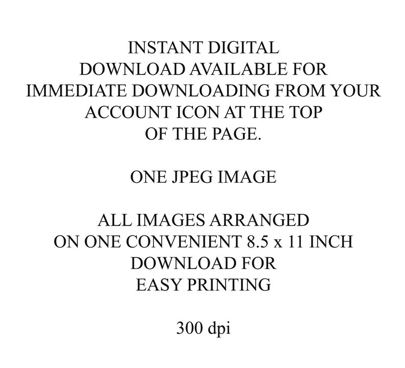 May include: Text describing an instant digital download of a single JPEG image, arranged on an 8.5 x 11 inch page for easy printing at 300 dpi.
