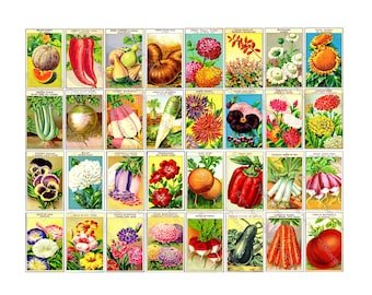 French Seed Packs, 4 Printable Sheets, 32 Colorful French Seed Packets, Vintage Label Art Images for Gardeners, 4 DIGITAL DOWNLOADS, Pack 4