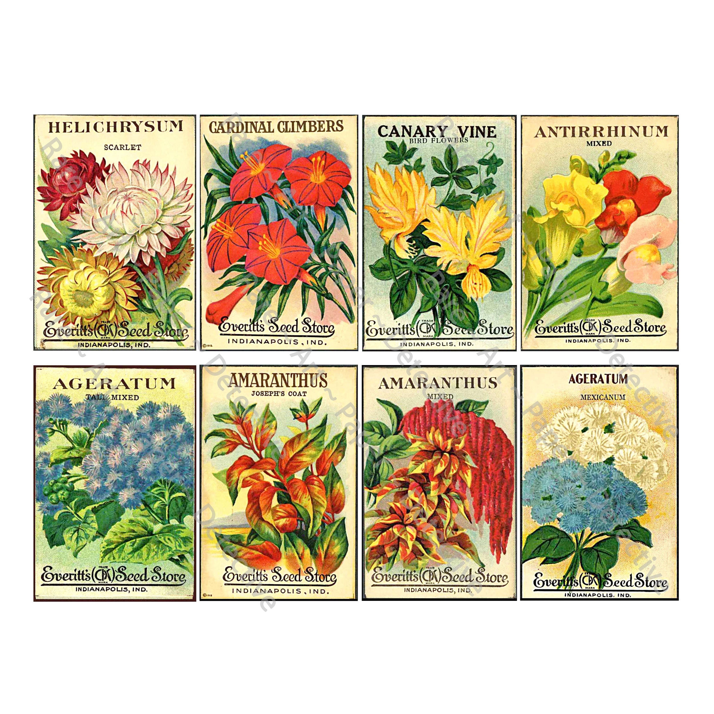 Seed Packet & Antique Seed Catalog Illustrations, 8 Garden Decorations,  Farm and Garden Journals, Vintage Label Art, DIGITAL DOWNLOAD, 618