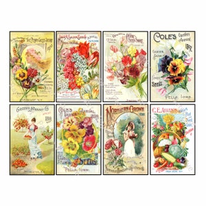 Flower Seed Pack Art Paper Tags INSTANT DOWNLOAD Antique Seed Catalog Cover Art Gardening Gift Journal Kitchen Decoration Gift for Her, 660N