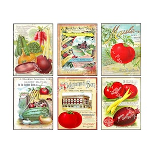 6 Pcs Garden Seed Label Set & Antique Seed Pack Catalog Covers, Farm and Garden Journals, Vintage Label Art Décor, Digital Graphics Set 710N
