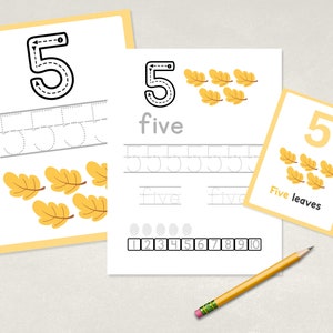 Pacchetto di tracciamento dei numeri autunnali, 1-10, Flashcard, Schede da tracciamento, Fogli di lavoro, Riconoscimento dei numeri