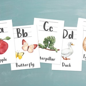 Nature Alphabet Cards, Wall and Flash Card Sizes, Watercolor Illustrations