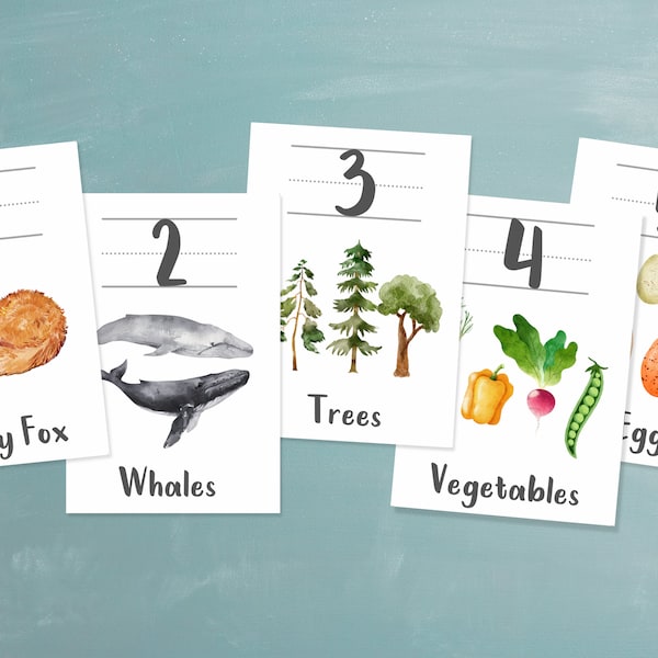 Nature Themed Counting Cards, Both Classroom and Flashcard Sizes, Beautiful Watercolor Illustrations