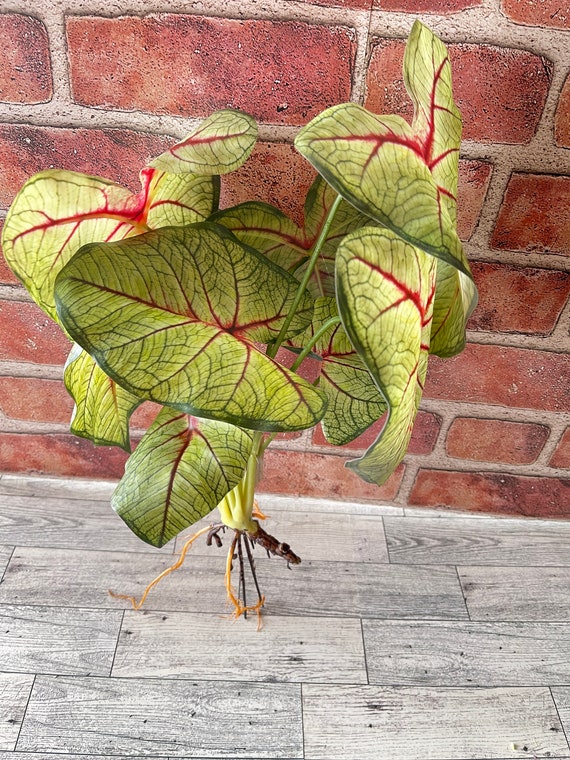 Caladium Plant,  Greenery, Floral Supplies, Tropical Leaf Spray, Wreath Embellishments, Tropical Craft Supply, Artificial House Plant