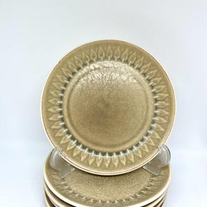 Op de afbeelding: Een stapel van vijf keramische borden. De borden hebben een gespikkelde, olijfgroene oppervlakte met een witte rand. De borden hebben een decoratief bladerpatroon langs de rand. De borden zijn gestapeld op een transparante plastic standaard.