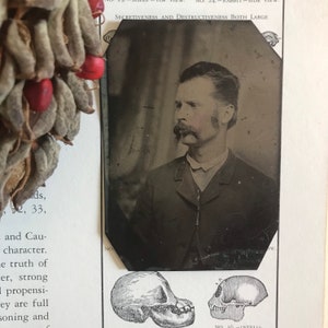 May include: A black and white photograph of a man with a mustache, wearing a dark suit and a white shirt. The photograph is framed in a black and white frame. The image is from a book about phrenology, a pseudoscience that claimed to be able to determine a person's character and abilities by examining the shape of their skull. The text in the image reads "SECRETIVENESS AND DESTRUCTIVENESS BOTH LARGE".