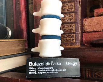 Vintage spine medical advertisement model