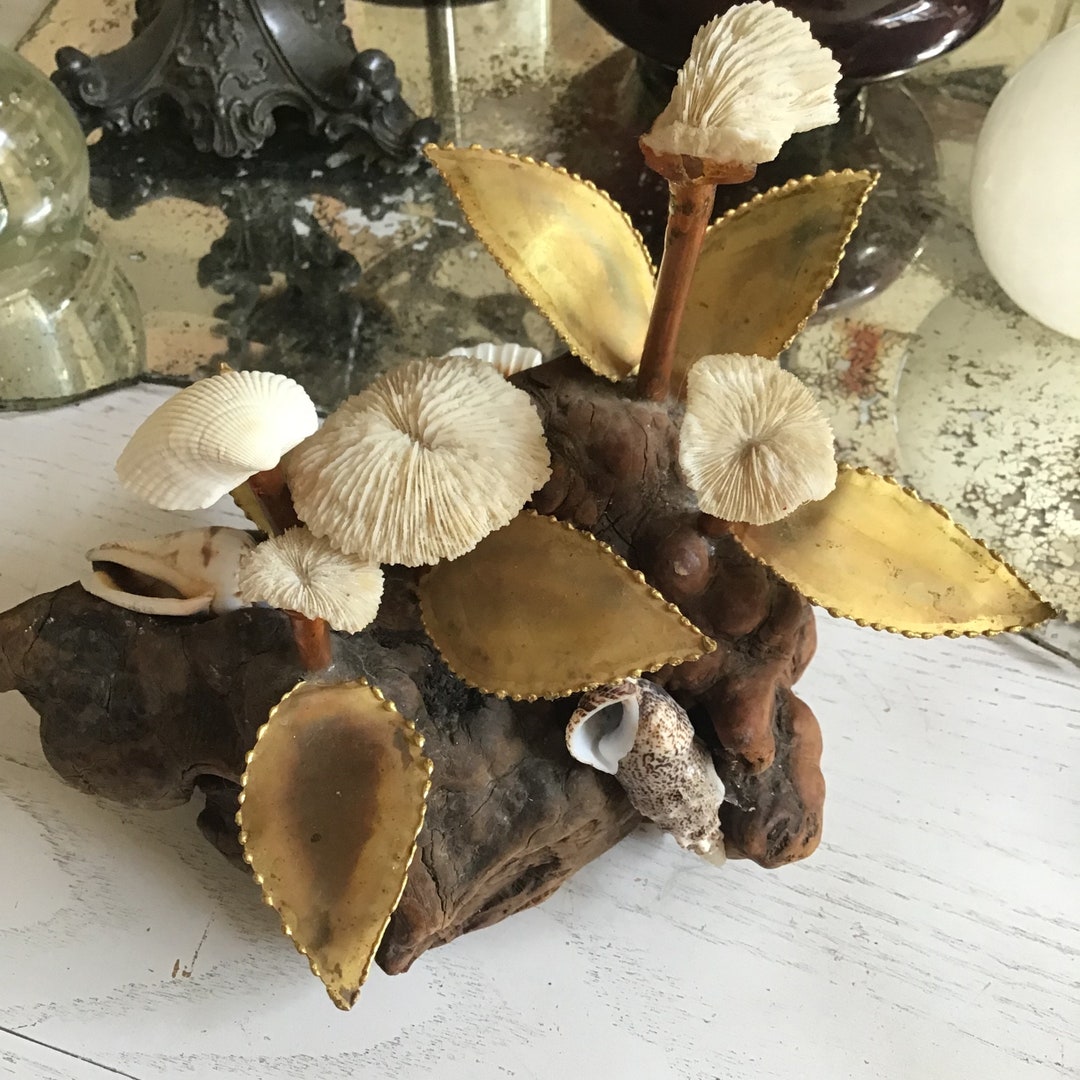 Mushroom Shell Sculpture Assemblage Art - Etsy