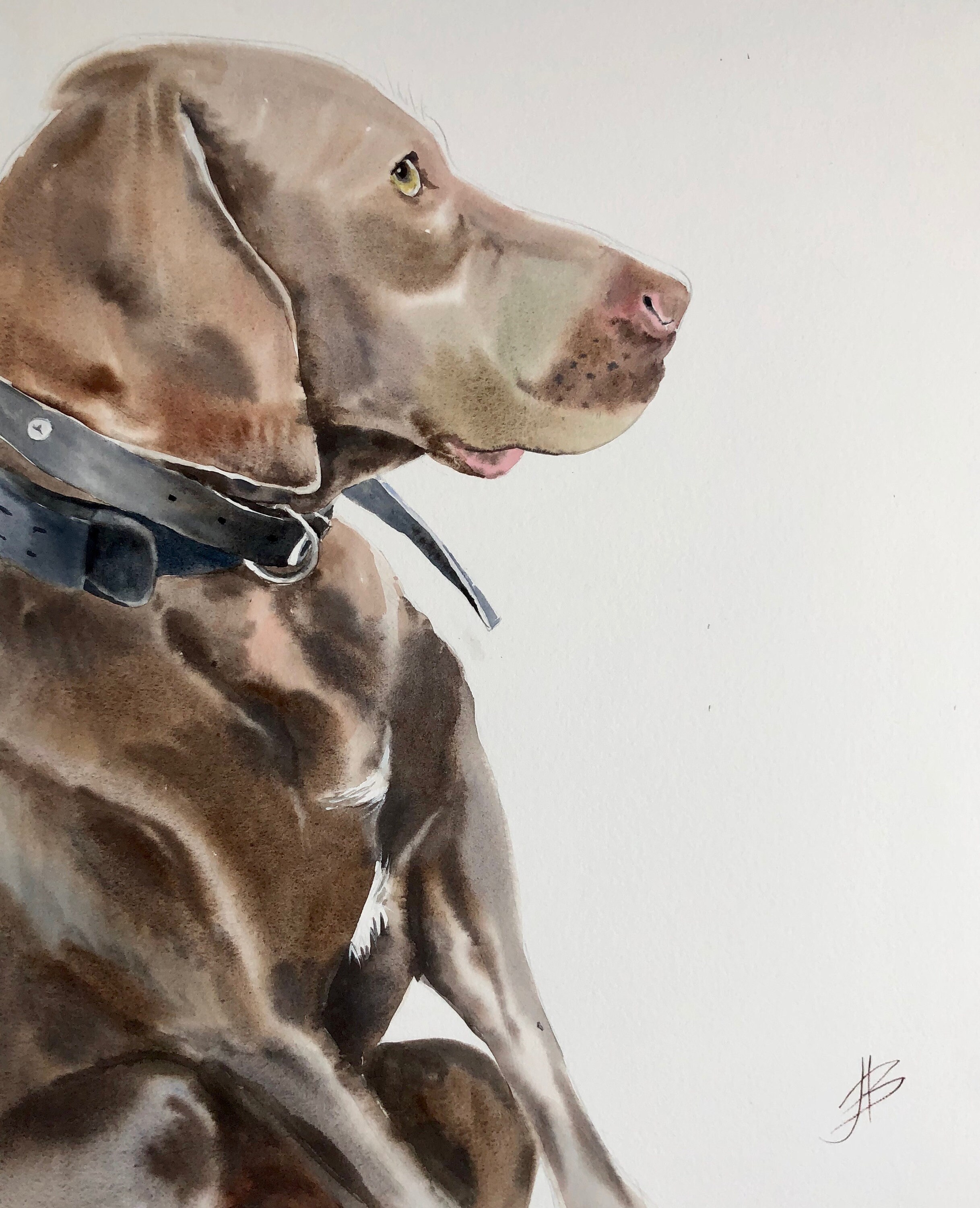 Weihnachten Geschenk Hund Erinnerung Haustier Portrait Hund Etsy