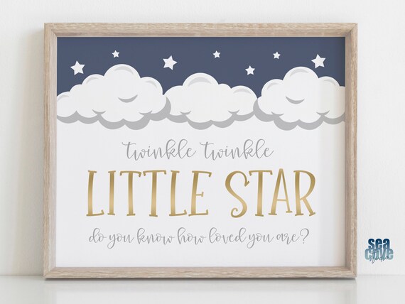 Twinkle Twinkle Little Star Gender Reveal Party Decorations Etsy