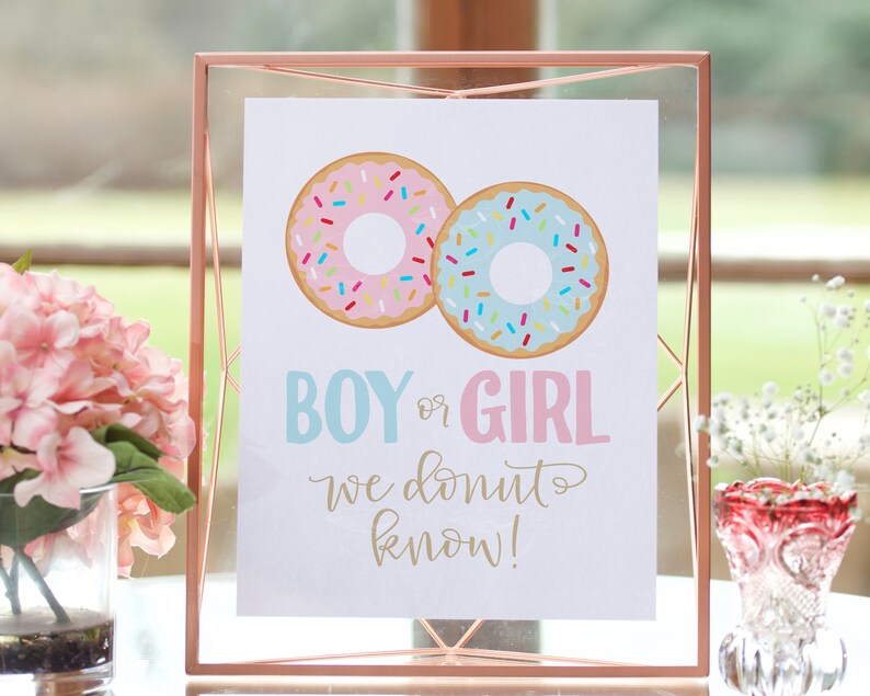 Donut Gender Reveal Boy or Girl We Donut Know Gender Reveal Etsy