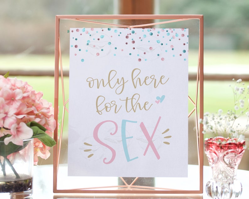 Here For The Sex Sign Gender Reveal Party Gender Reveal Etsy