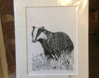 Badger Giclee Print from Original Pen and Ink Drawing - Signed and Mounted - Artwork by Jennifer Livingston - British Wildlife Animal Art