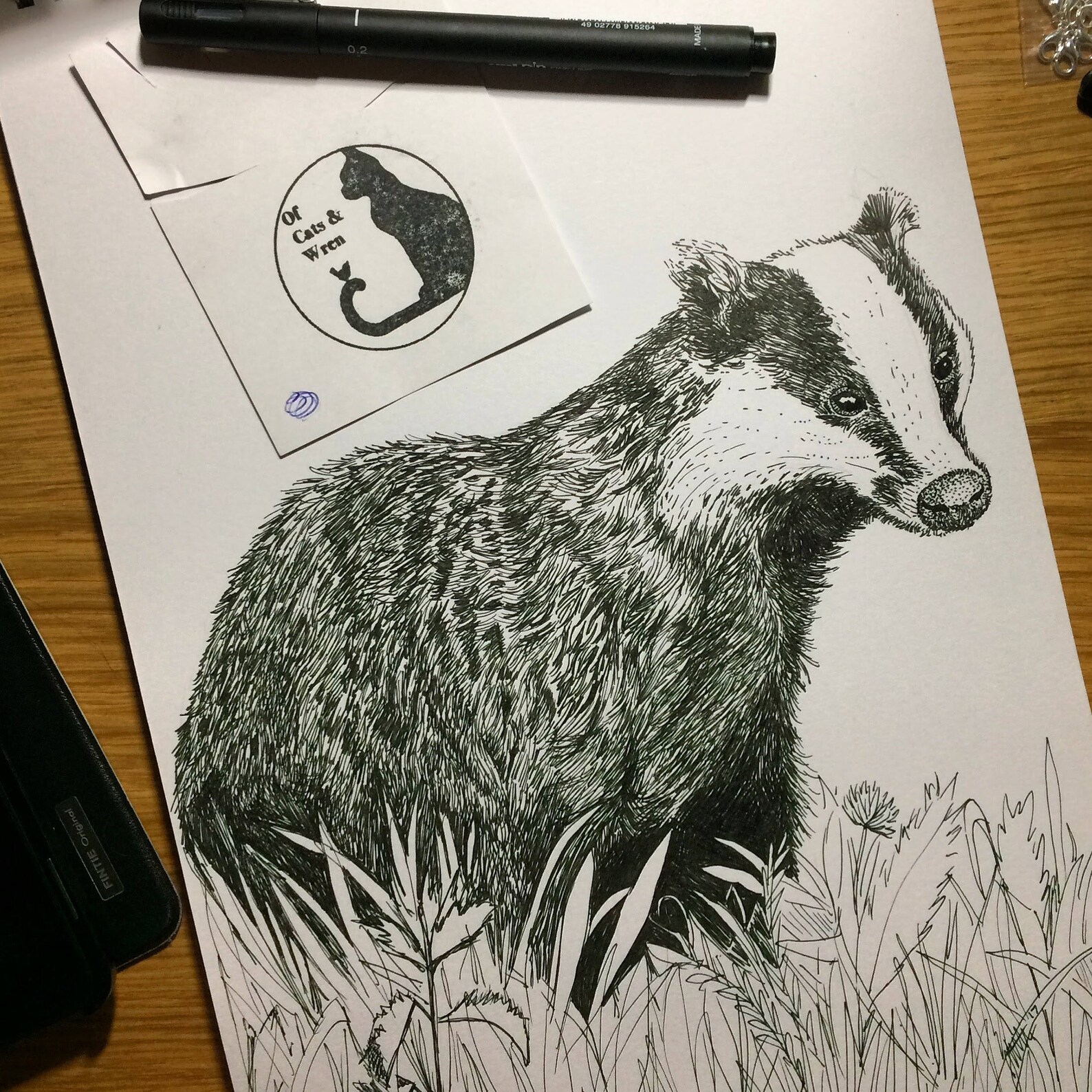 Badger Giclee Print From Original Pen and Ink Drawing Signed - Etsy