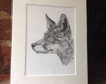 Fox Giclee Print from Original Pen and Ink Drawing - Signed - Available With or Without Mount - Art Artwork by Jennifer Livingston