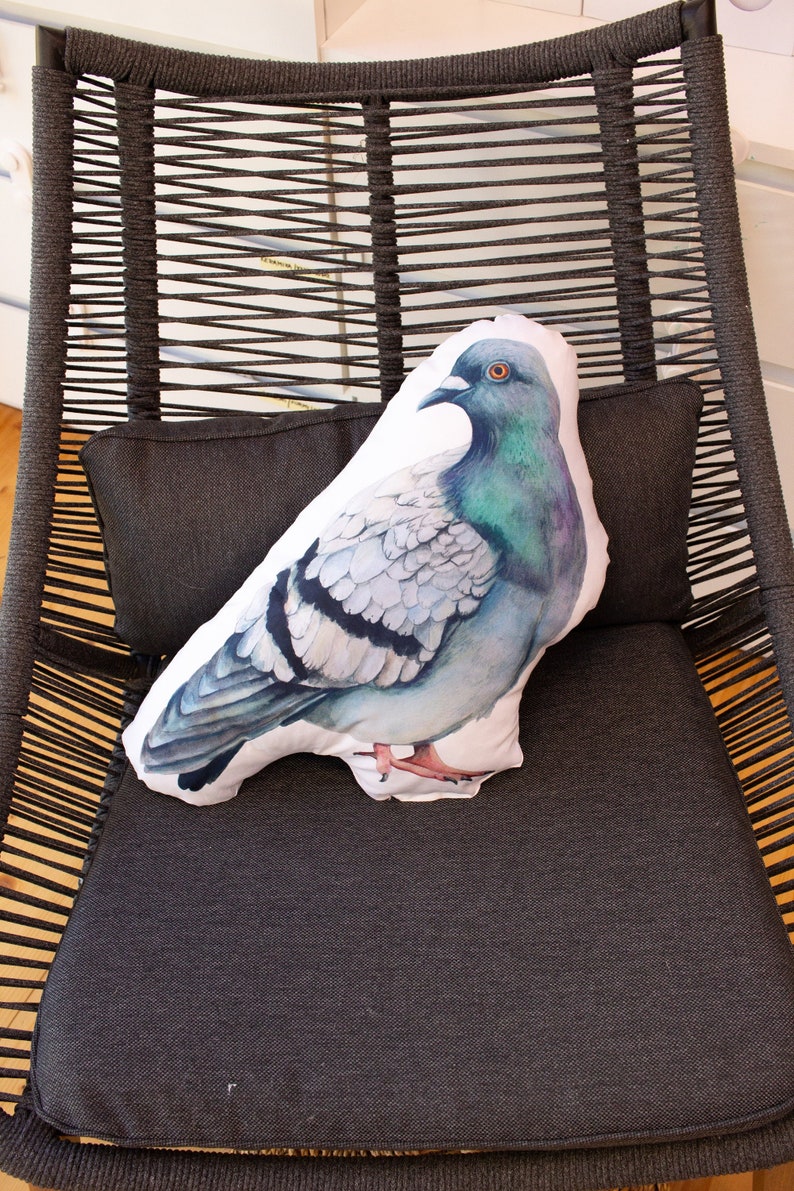 bilateral pillow pigeon image 1