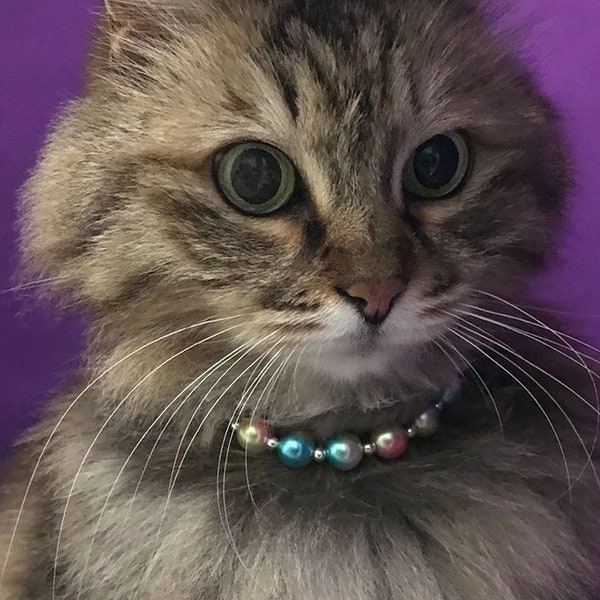Perlen Katzenhalsband Haustierhalsband mit Magnetverschluss