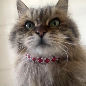 Cat Collar with Magnetic Safety Clasp cat accessories  pet collars jewelry pet supplies