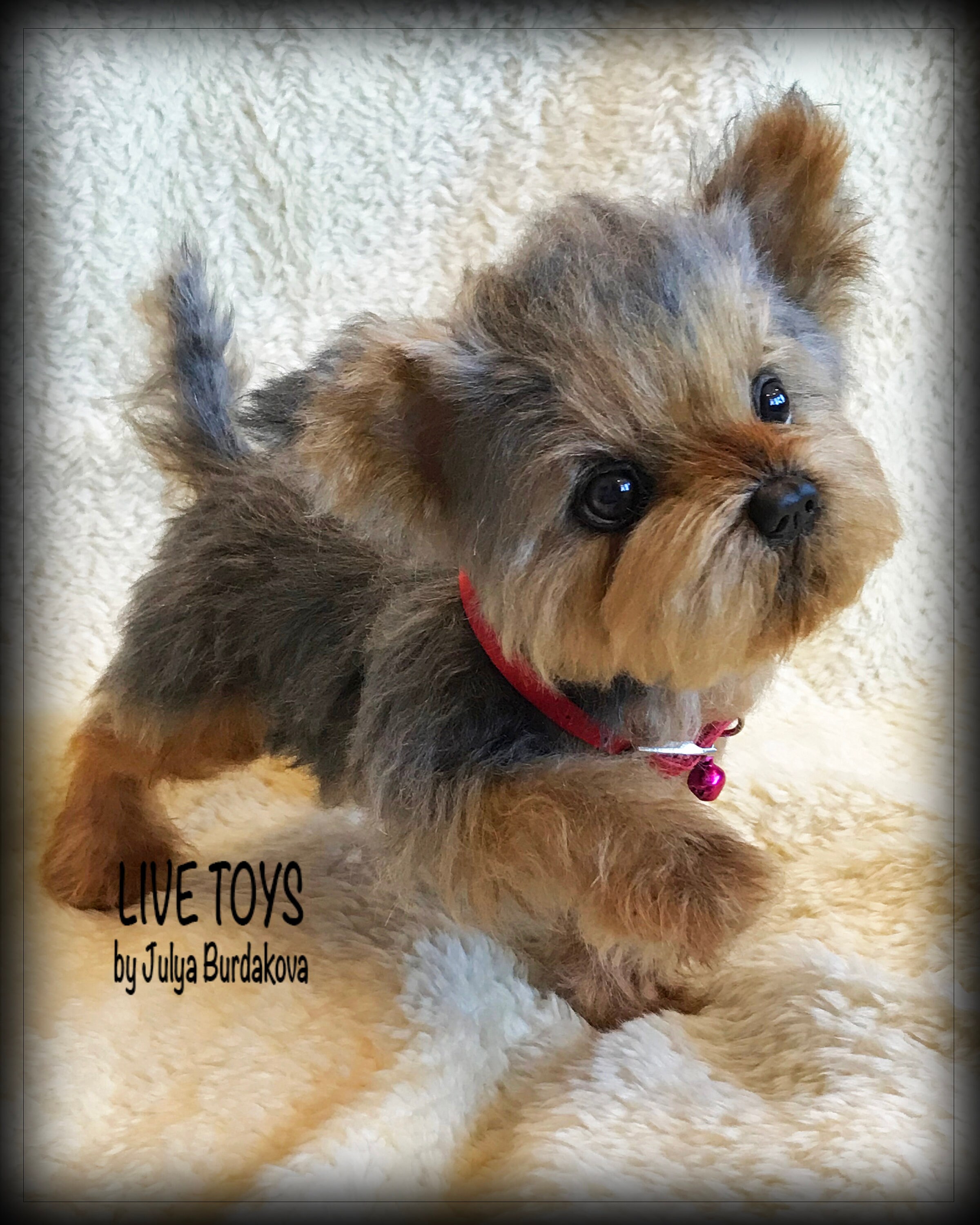 Yorkie Plush Yorkie Puppy Yorkshire Terrier Mohair Dog Pet Etsy