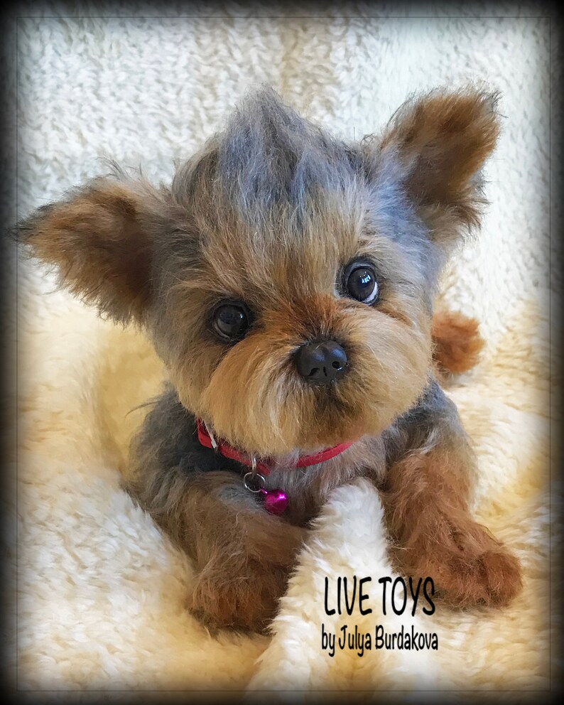 Yorkie Plüsch Yorkie Welpen Yorkshire Terrier Mohair Hund Etsy