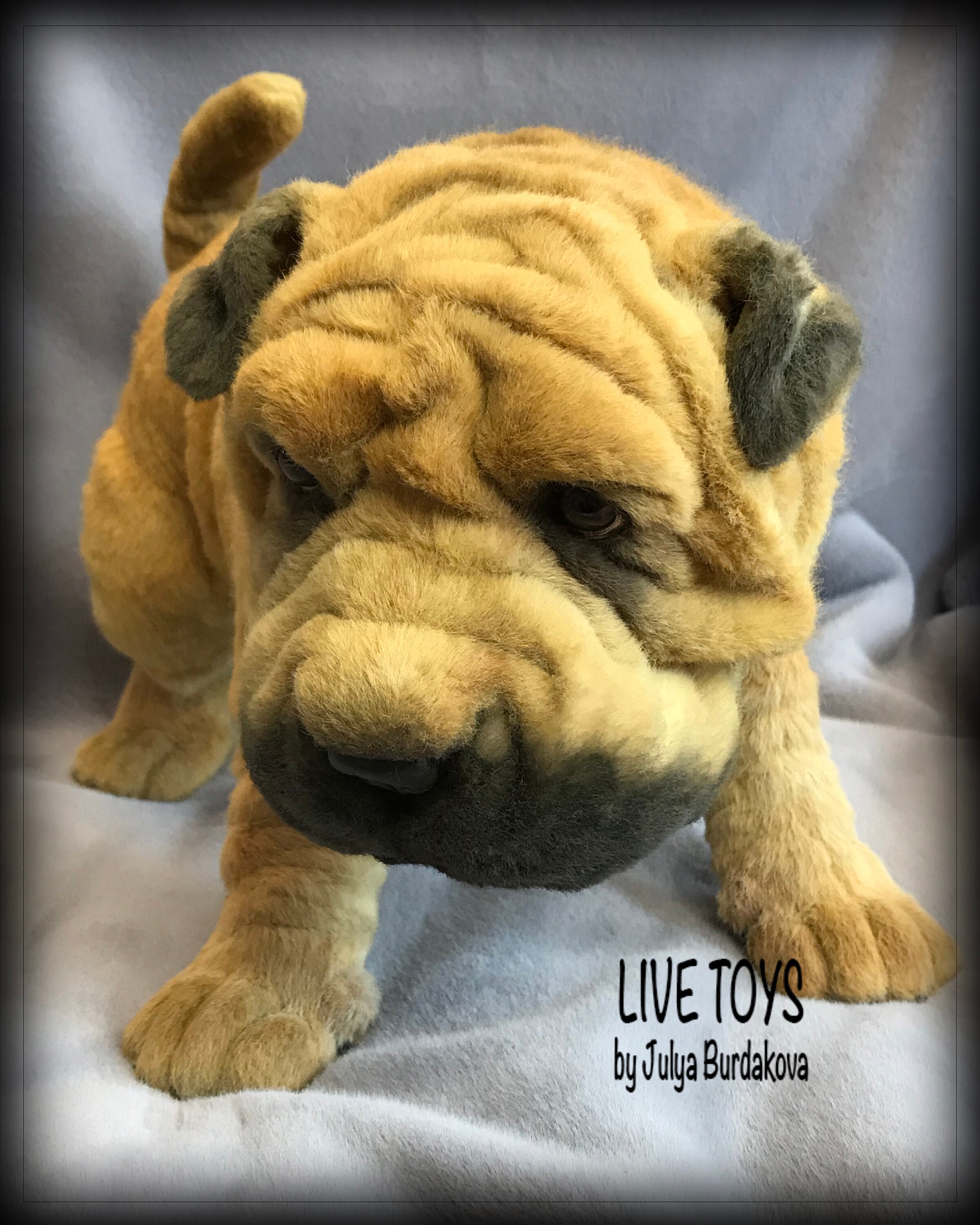 Shar pei plush shar pei puppy Puff stuffed animals Mohair | Etsy