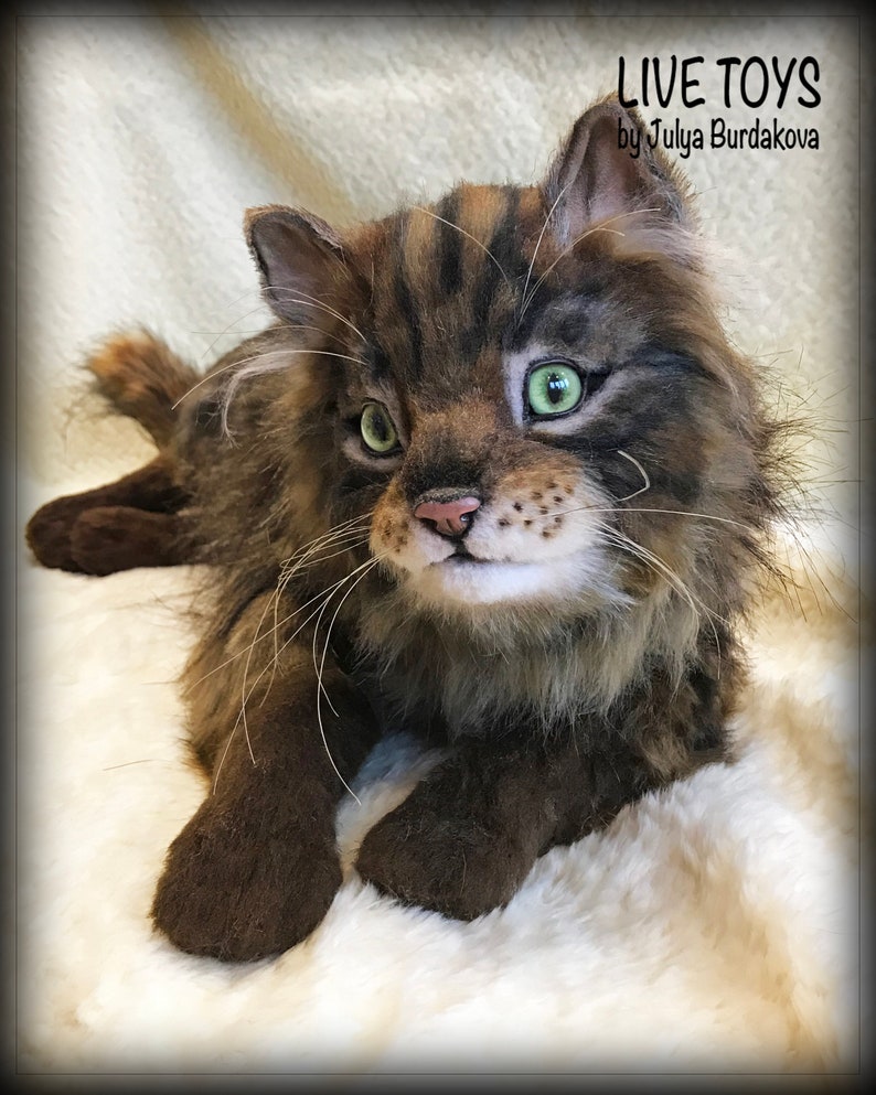 Stuffed cat Maine coon custom pet portrait realistic toy Etsy