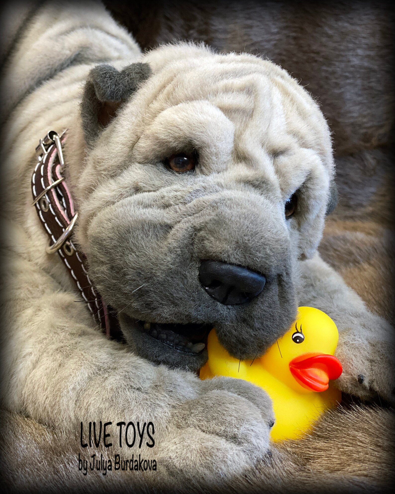 Shar pei plush shar pei puppy stuffed animals pet replica | Etsy