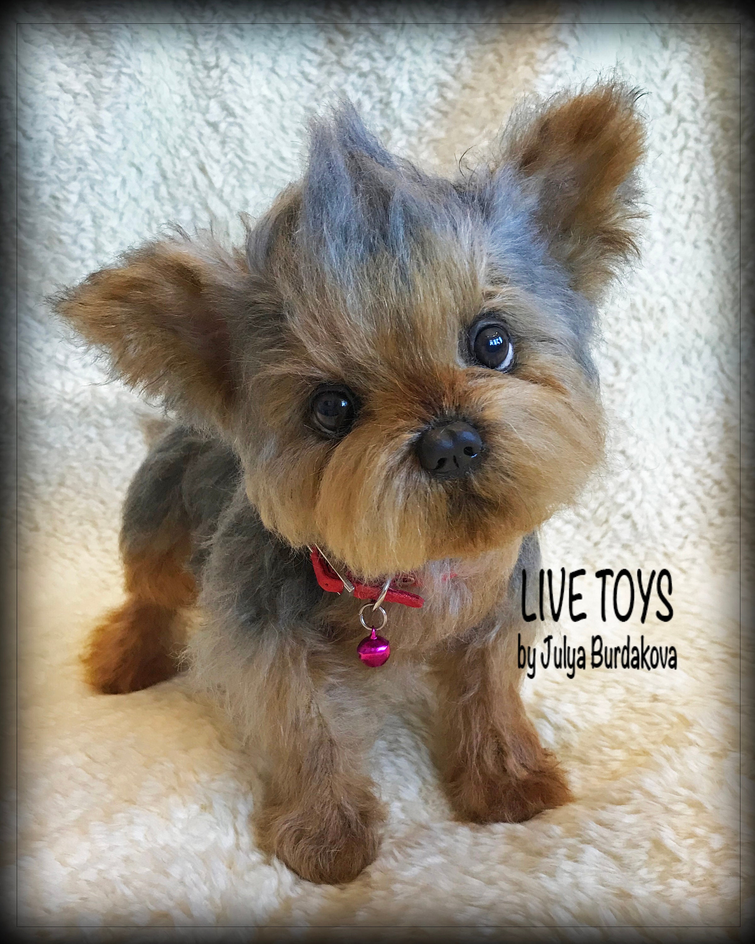 Yorkie Plush Yorkie Puppy Yorkshire Terrier Mohair Dog Pet | Etsy