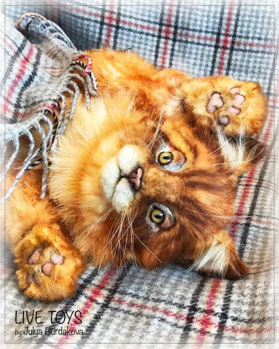 maine coon plush toy
