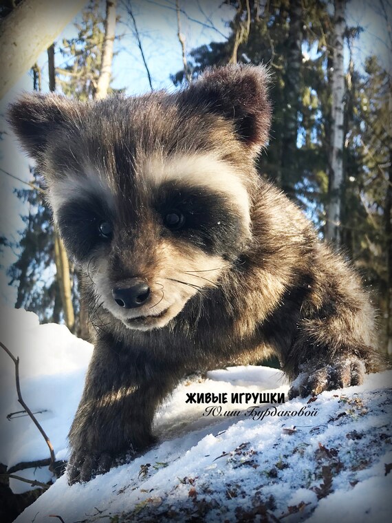realistic stuffed raccoon