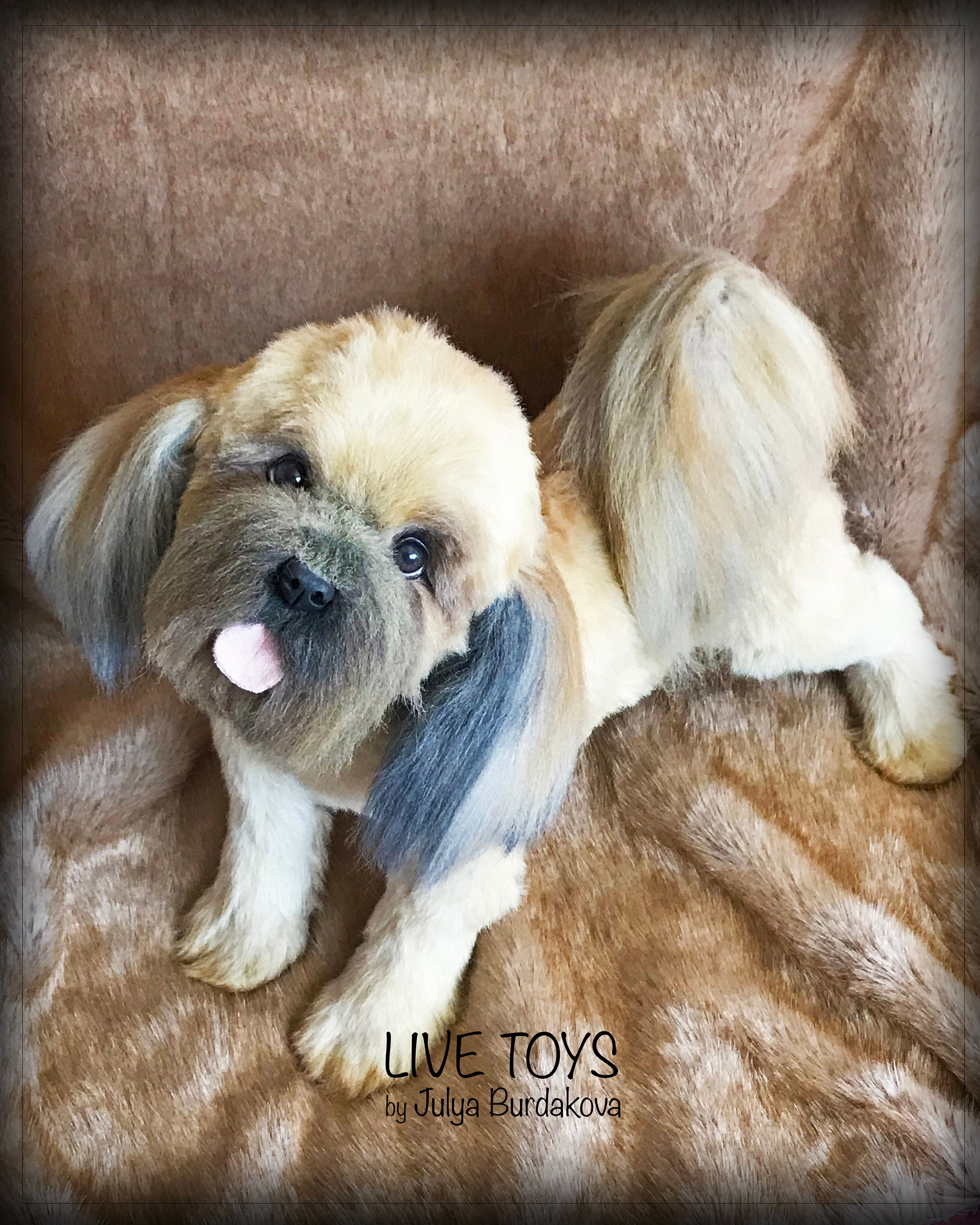 stuffed lhasa apso dog